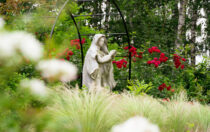 Ogród Maryjny przy naszym Sanktuarium